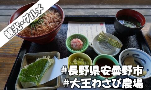 わさびが苦手でも平気 日本一の本 丼を堪能 長野県安曇野市 大王わさび農場 実体験をレビュー 週末 道の駅探訪 わさびが苦手でも平気 日本一の本 丼を堪能 長野県安曇野市 大王わさび農場 実体験をレビュー 週末 道の駅探訪